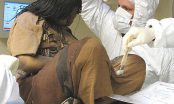 Xác ướp bí ẩn 500 năm tuổi còn nguyên tóc và lông mày được khai quật