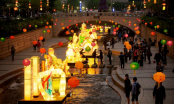 Giới trẻ háo hức chờ đón lễ hội đèn lồng khổng lồ lần đầu tiên xuất hiện tại việt Nam