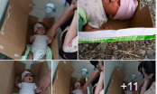 Thông tin mới nhất vụ bé trai 2 tháng tuổi cực kháu khỉnh bị mẹ vứt bỏ trong thùng giấy