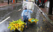 Dự báo thời tiết 19/03: Bắc Bộ tiếp tục mưa, Nam Bộ nắng nóng