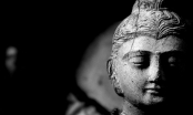 Phật dạy: Vì sao ta chọn thiện lương, vì yếu mềm hay là….?