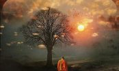 Ngẫm: Cớ sao nhiều người 'có phúc' mà không được hưởng? và câu trả lời của Đức Phật