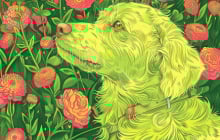 Top 3 con giáp Tình - Tiền ngập ví, Phú Quý hưởng đều