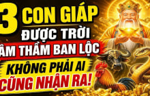 3 con giáp khéo lo cả đời no ấm, 1 tuổi Tiền chảy về đều