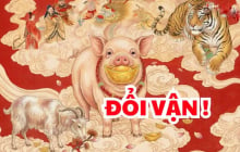 10 ngày tới vận mệnh đảo chiều: 4 con giáp có núi Vàng núi Bạc trong nhà