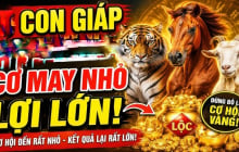 4 tuổi trả hết Nợ Đời, Tiến Thẳng giàu sang từ 20/6 đến 27/6
