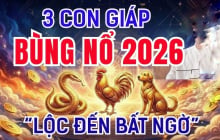 Có công ắt được Lộc, 3 con giáp phú quý về đầy tay