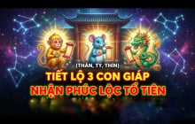 3 con giáp Tổ Tiên tích phúc lại cho, 3 năm tới no nê hưởng