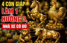 4 con giáp Làm 1 hưởng 3, nhà xe có đủ