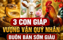 3 con giáp Vượng Vận Quý Nhân, buôn bán sớm giàu