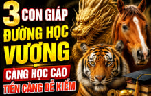 3 con giáp đường Học vượng, càng học cao Tiền càng dễ kiếm