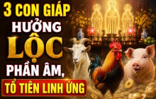 3 con giáp hưởng Lộc phần Âm, Tổ tiên linh ứng