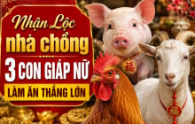 Nhận Lộc nhà chồng 3 con giáp nữ làm ăn thắng lớn