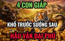 4 con giáp sinh ra Ngậm Thìa Vàng, càng về già càng sướng