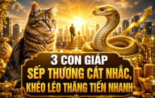 3 con giáp sếp thương cất nhắc, khéo léo thăng tiến nhanh