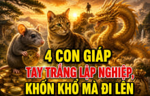 Chúc mừng 4 cái con giáp có mệnh khởi nghiệp, tay trắng dựng cơ đồ