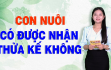 Từ 2023 trở đi: Con nuôi có được hưởng thừa kế như con đẻ không?