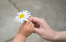 4 kiểu người tuyệt đối không được làm hại, nếu không mất hết phúc báo, thân bại danh liệt