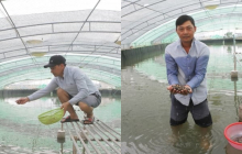 Nuôi con đặc sản thích ăn cá, anh nông dân Nam Định thu về 9 tỉ đồng mỗi năm