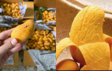 Loại trái cây dân dã từng bị lãng quên, nay ‘lột xác’ thành đặc sản mùa hè, ai ăn cũng mê