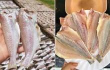 Loại cá ngày xưa chẳng ai thèm ăn, giờ thành đặc sản được xuất khẩu, tranh nhau mua