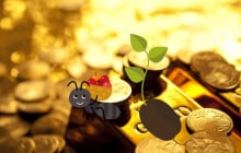 Top 4 tuổi: Trẻ gặp thử thách, sau tuổi 45 đại vận ào tới, Giàu có vang danh, trong Mệnh ẩn vàng