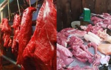 Vì sao con người chủ yếu ăn thịt động vật ăn cỏ thay vì động vật ăn thịt?