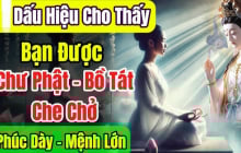 4 điểm trên người là Bồ Tát đánh dấu, mang phúc mang phần cho cả gia đình
