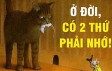 Cuộc đời chỉ có 2 thứ thật sự thuộc về bạn: Có người đến cuối đời mới nhận ra đã quá muộn