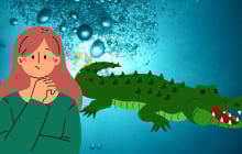 Làm mãi cố gắng mãi vẫn không giàu, hãy áp dụng Định Luật Cá Sấu, đời sang trang vàng son sẽ tới