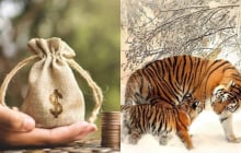 3 con giáp càng làm càng giàu, ở hiền gặp lành: Cuối năm 2025 tắm trong cơn mưa tiền khiến mọi người trầm trồ