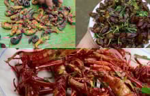 “Sợ xanh mặt” với 3 đặc sản miền Bắc: Nhìn rùng mình nhưng ăn là mê