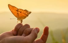 Cổ nhân dạy: 2 việc không nên đợi và 2 thứ không nên sợ hãi trong đời ai cũng cần biết