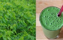 5 công dụng vượt trội của nước ép rau ngót khiến chị em sốt sình sịch