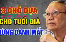Về già chỗ dựa không phải con cái hay bạn đời: 3 điều này mới thực sự là chỗ dựa lớn nhất
