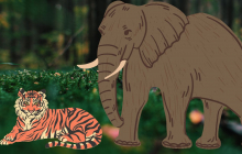 Vì sao động vật ăn Cỏ lại thường to hơn động vật ăn thịt? Người ăn thịt hay ăn rau thì to hơn?