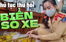 Từ nay đến hết tháng 12/2028: Có 8 trường hợp sẽ bị thu hồi biển số xe, ai cũng nên chú ý