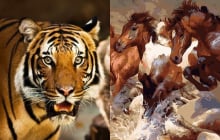 4 con giáp từ tay trắng đến đầy túi tiền, nỗ lực làm giàu không áp lực