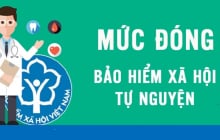 Mức hỗ trợ đóng bảo hiểm xã hội tự nguyện từ tháng 7/2025 là bao nhiêu?