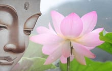 Phật dạy, gia đình chỉ cần có thứ này sẽ ngày càng thịnh vượng, phúc khí tràn trề
