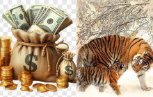 0h Thứ Bảy (9/8): 4 con giáp được Phật Bà độ kiếm tiền nhanh hơn giá vàng tăng giá, Chủ Nhật đời lên hương