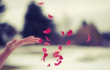 Đây là 4 thứ sẽ 'hút sạch' phúc khí của một gia đình