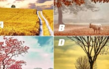 Trắc nghiệm tâm lý: Chọn bức tranh theo trực giác để khám phá số mệnh và tính cách tiềm ẩn của bạn