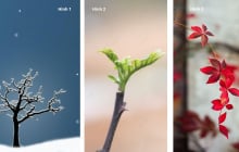 Quiz: Chọn 1 cành cây mùa đông tiết lộ điều bạn cần tập trung để nâng cấp bản thân trong năm 2026