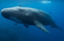 Câu đố “12 chữ ng” khiến nhiều học sinh giỏi bó tay: Đáp án đơn giản nhưng dễ bỏ lỡ