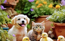 Từ nay tới Tết Âm lịch 2026: 3 tuổi Cả Tin thì Tiền Bạc trồi sụt, tỉnh táo để tài lộc về