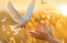 Tưởng là tốt nhưng càng làm càng giảm phước: 5 kiểu sống đang âm thầm bào mòn vận may