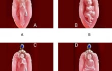 Trắc nghiệm tâm lý: Miếng ngọc bội nào bạn khao khát sở hữu nhất? Hé lộ điều sâu kín trong bạn