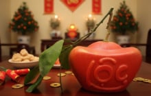 Loại bưởi từng bị bỏ quên nay “lên đời” đặc sản Tết 2026, giá tới 400.000 đồng/quả vẫn hút khách thành phố