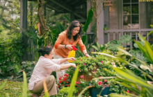 Đến ngưỡng 50, ai có đủ 3 thứ này mới là viên mãn an yên, có phúc phần lớn